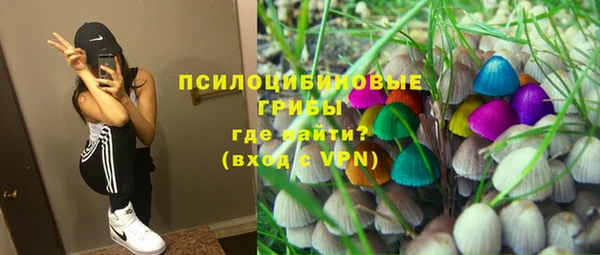СК Абдулино