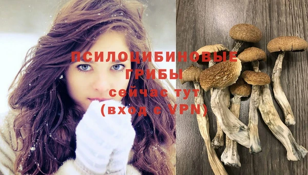 индика Абинск